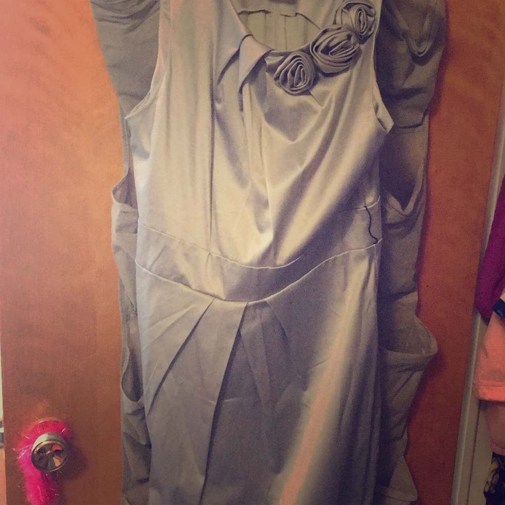 Little Silver Dress